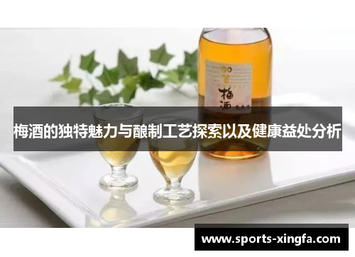 梅酒的独特魅力与酿制工艺探索以及健康益处分析